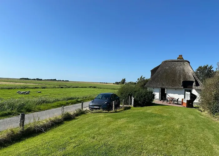Reetdachhaus Deichperle Vakantiehuis Westerhever
